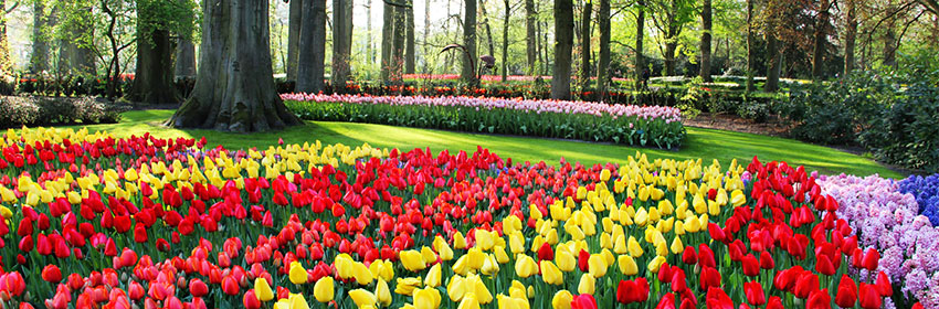 Top-5-lentebestemmingen-in-Europa.Keukenhof